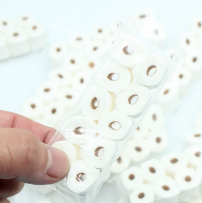 Miniature Leprechaun Bathroom - Trap Supplies & Pranks Kit